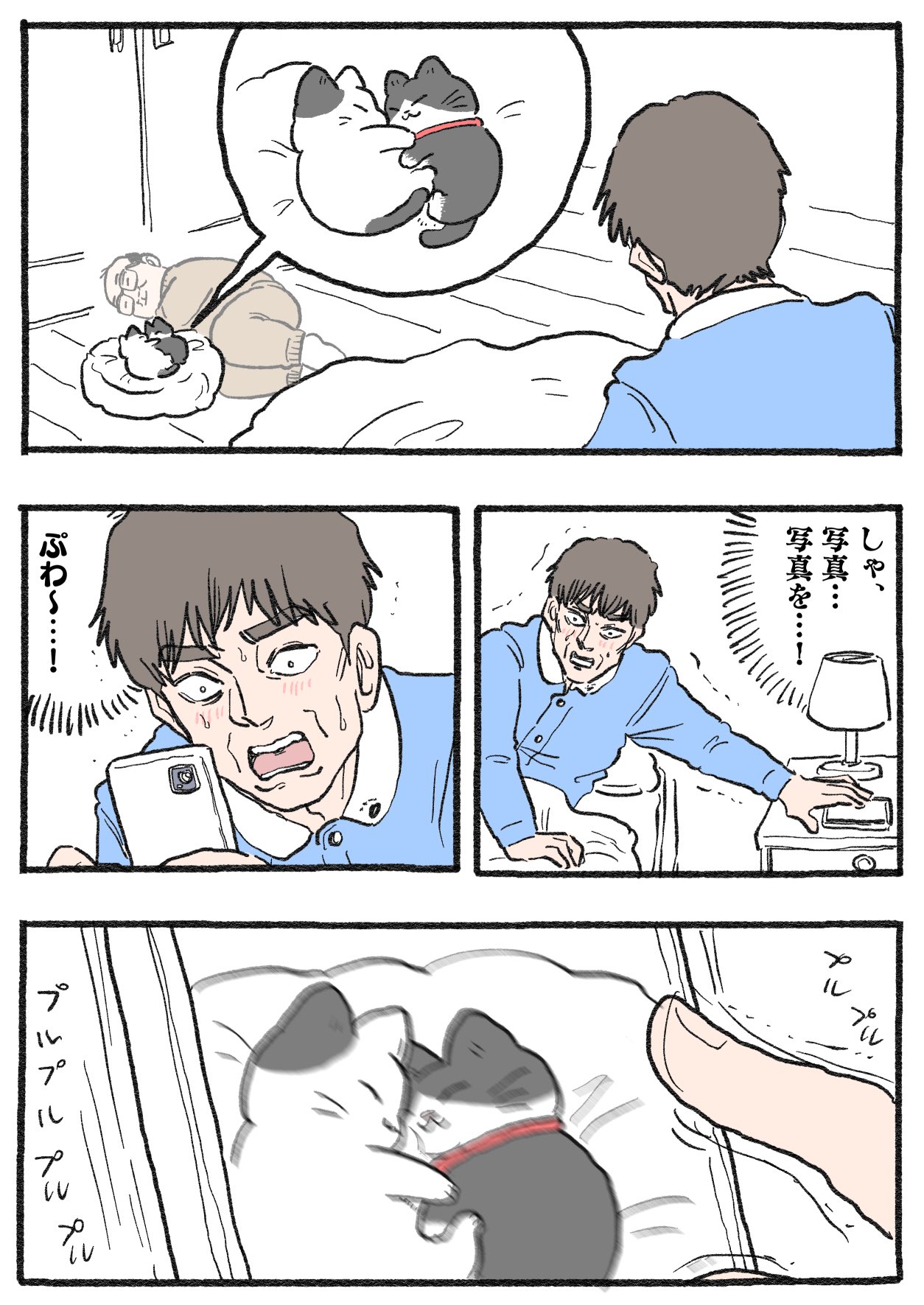 きなこ様 Gt-BN8SacAA1ohP.jpg