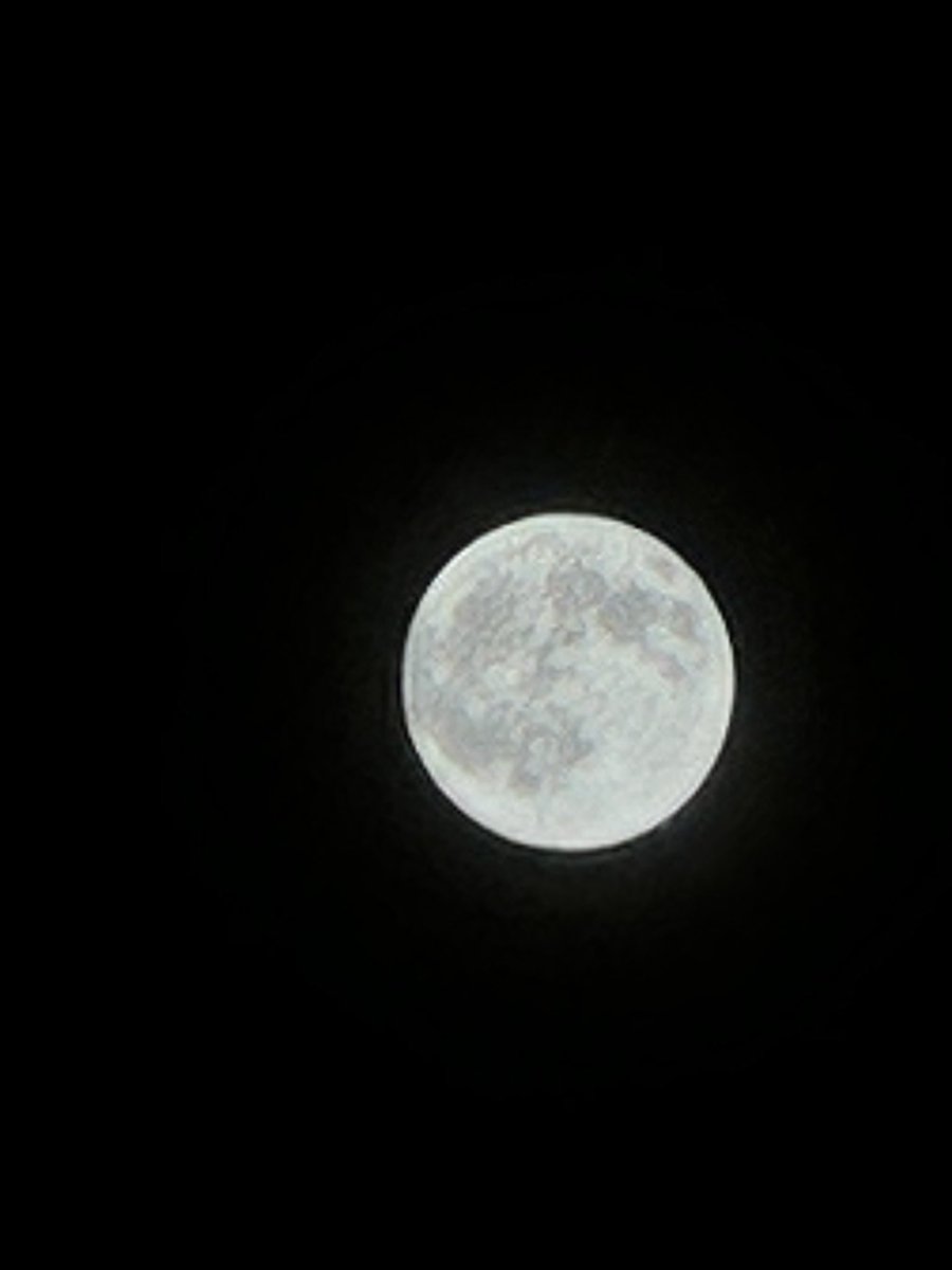 Rudrachha Joshi tweet media