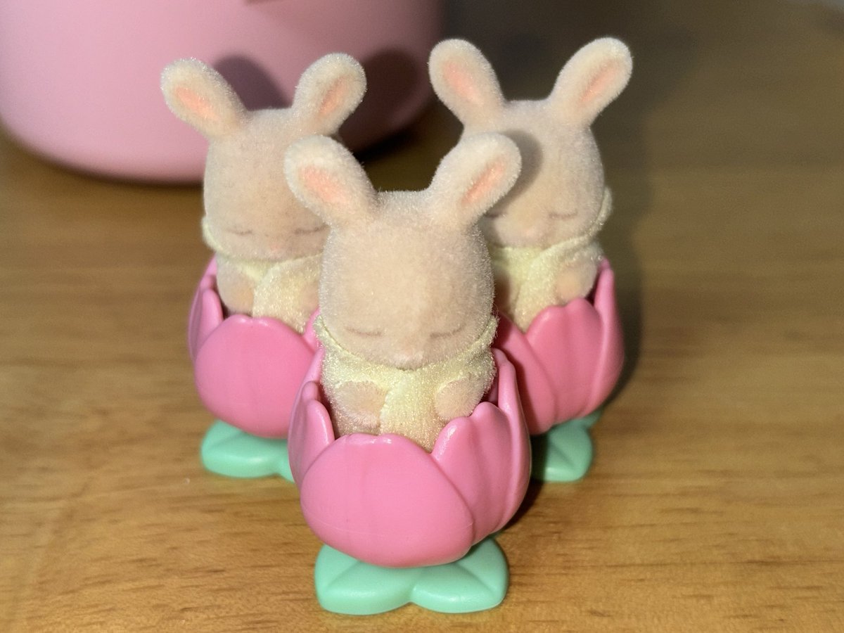 알엠 마그네틱 챌린지 기원 32일차