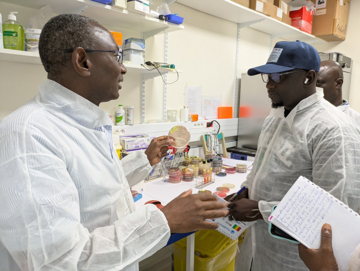 UF College of Public Health & Health Professions tweet media