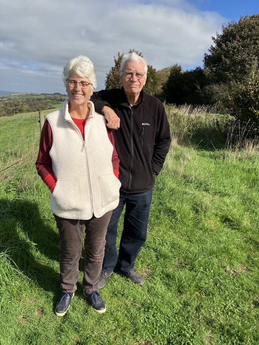 lynda Lutner#FBPE #FBPPR tweet media