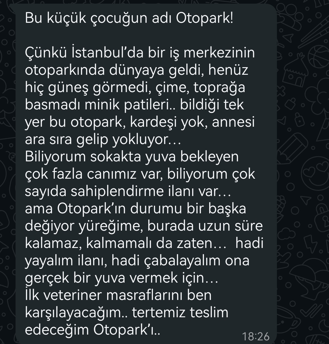 Annesi bu minik sarmanı otoparkta doğurmuş, büyütüp sütten kesmiş. Güzel çocuk hiç güneş görmeden otoparkta yaşıyormuş ve dışarıyı da bilmediği için sokakta yaşama şansı pek yok. İlan sahibinin iletişimini dm üzerinden vericem. Güneş görmeden yaşayamaz, yuva lütfen 👇🏻
İstanbul