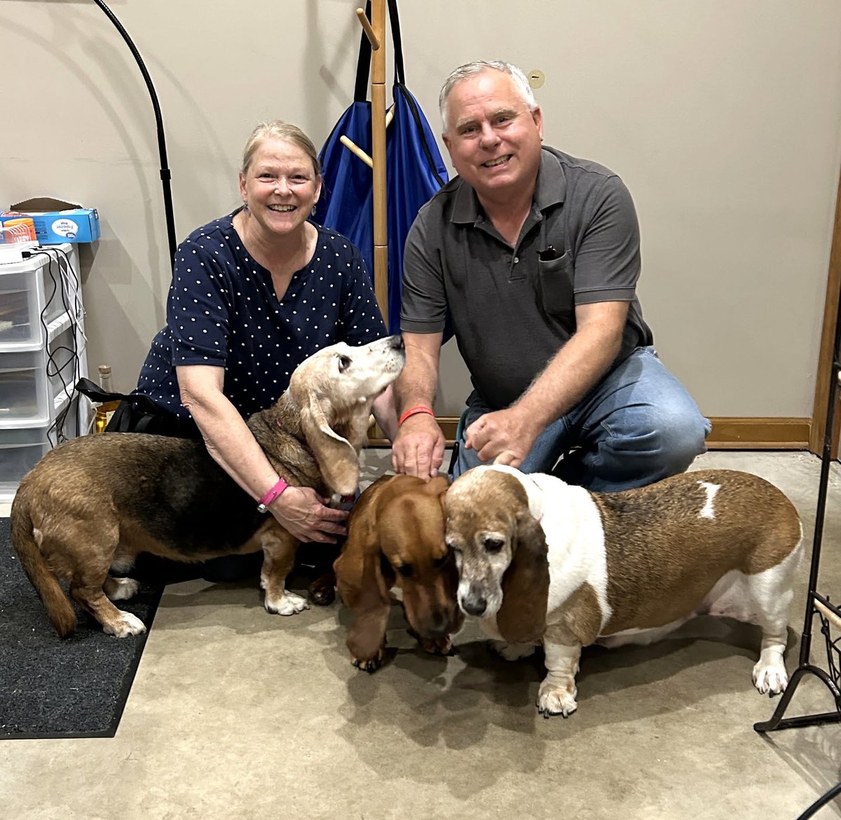 Aarrhhoooo! Congratulations to Ruby on her #Adoption!

Other #Basset Hounds still looking for forever homes: bassetrescue.org/homeless

#AdoptDontShop #BassetHound #RESCUE