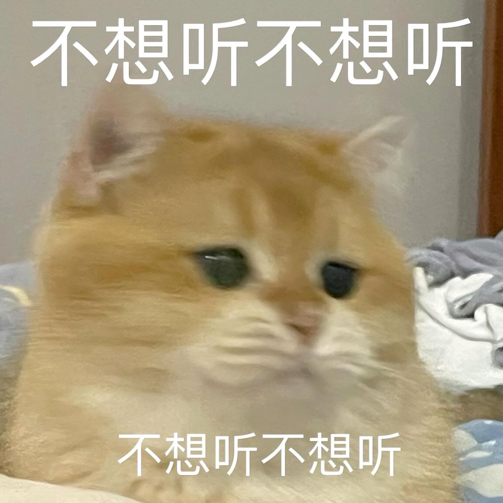 柚子 tweet media
