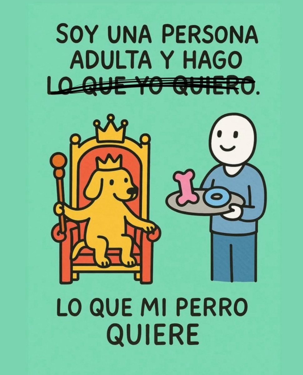 Lomitos Suavecitos (@suaveslomitos) on Twitter photo 