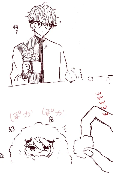 換毛期 