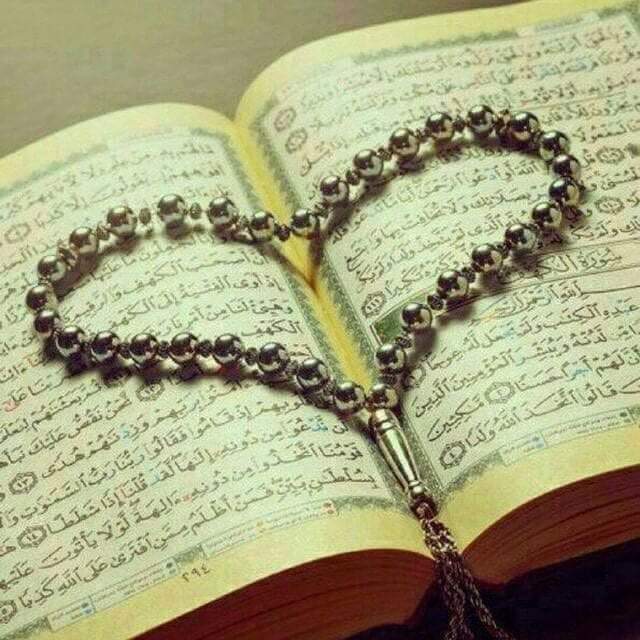 İsraf etmez (İsra/26)
Dosdoğru yaşar (Hud/12)
Hak yemez (Bakara/188)
Irkçı değildir(Hucurât/13)
Kibirden uzaktır (Furkan/63)
Hakkı ayakta tutar (Maide/8)
Sözüne sadıktır (Mü'minûn/8)
Kusur araştırmaz(Hucurât/12)
Her habere inanmaz(Hucurât/6)
#GeceyeBirAyetBırak