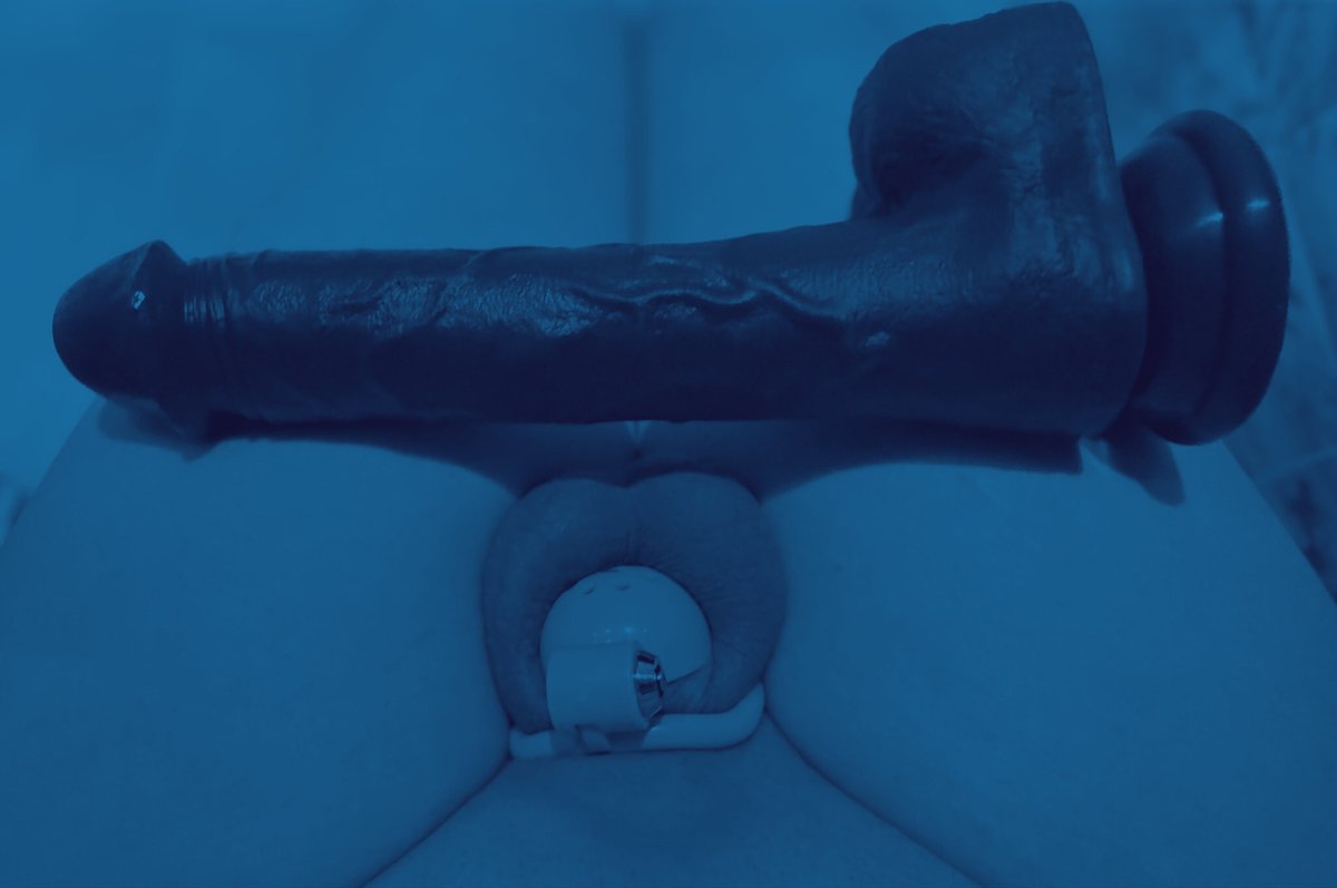 ミ★ᴥ︎✫彡
𝙬𝙤𝙤𝙛 𝙬𝙤𝙤𝙛 !

Heyy , I’m Noah ! Welcome to my kennel !

✧ 𝟮𝟮 𝘆𝗼
✧ 𝗚𝘆𝗻𝗲/𝗕𝗶
✧ 𝗪𝗵𝗶𝘁𝗲
✧ 𝗔𝗻𝘅𝗶𝗲𝘁𝘆 𝗥𝗶𝗱𝗱𝗹𝗲𝗱 𝗣𝘂𝗽
✧ 𝗩𝗲𝗿𝘆 𝗞𝗶𝗻𝗸𝘆
✧ 𝗗𝗠’𝘀 𝗢𝗽𝗲𝗻

- 𝗡𝗼 𝗙𝗮𝗰𝗲𝗹𝗲𝘀𝘀 𝗼𝗿 𝗔𝗴𝗲𝗹𝗲𝘀𝘀 𝗔𝗰𝗰𝘀 -