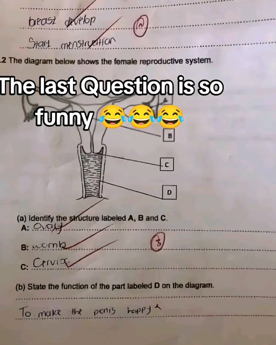 To make the penis happy 😊