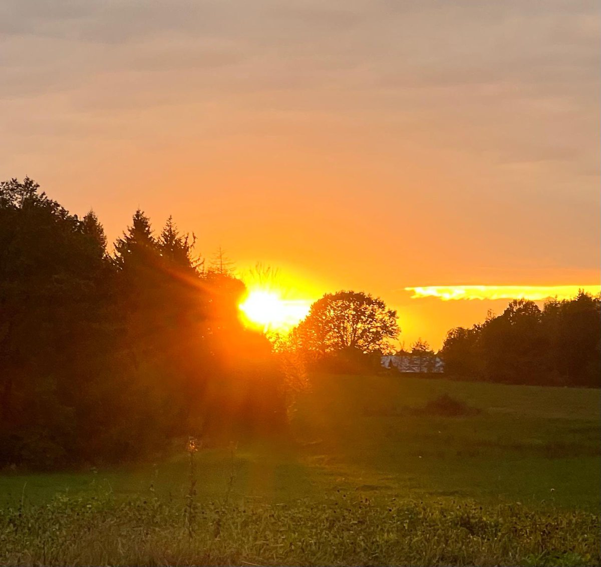 KArusich's tweet photo. 🌞A ray of Autumn sunlight...🌄
🌤Local sunset...🧡💛🤎
#Nature #LocalSun #Sunrays https://t.co/jd2DbW1Uuj