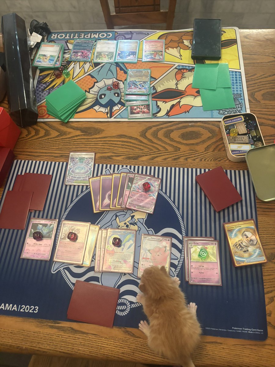 Trying to teach this fuck to play Pokémon is terrible, bro just keeps saying “meow” and shit