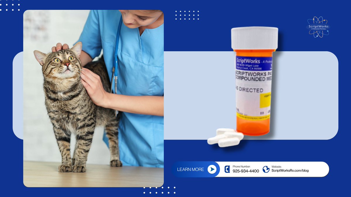 ScriptWorksRx's tweet photo. ScriptWorks compounds #GS441524 capsules to support individualized FIP plans for cats.

✔ Fast fulfillment
 ✔ Vet collaboration
 ✔ Support for pet owners &amp; providers

Learn more: https://t.co/mREbFIxdBA

#FIPAwareness #CatCare #VeterinaryCompounding #ScriptWorksPharmacy https://t.co/opfTJwvEd8