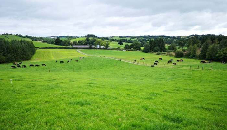Teagasc (@teagasc) on Twitter photo Failure to have adequate grass available in spring will lead to higher production costs and is also likely to result in lower milk revenue. Mark Treacy, <a href="/TeagascDairy/">Teagasc Dairy</a> Specialist shares his key tips for autumn grassland management.
Find them here bit.ly/3KynHj3 Failure to have adequate grass available in spring will lead to higher production costs and is also likely to result in lower milk revenue. Mark Treacy, <a href="/TeagascDairy/">Teagasc Dairy</a> Specialist shares his key tips for autumn grassland management.
Find them here bit.ly/3KynHj3
