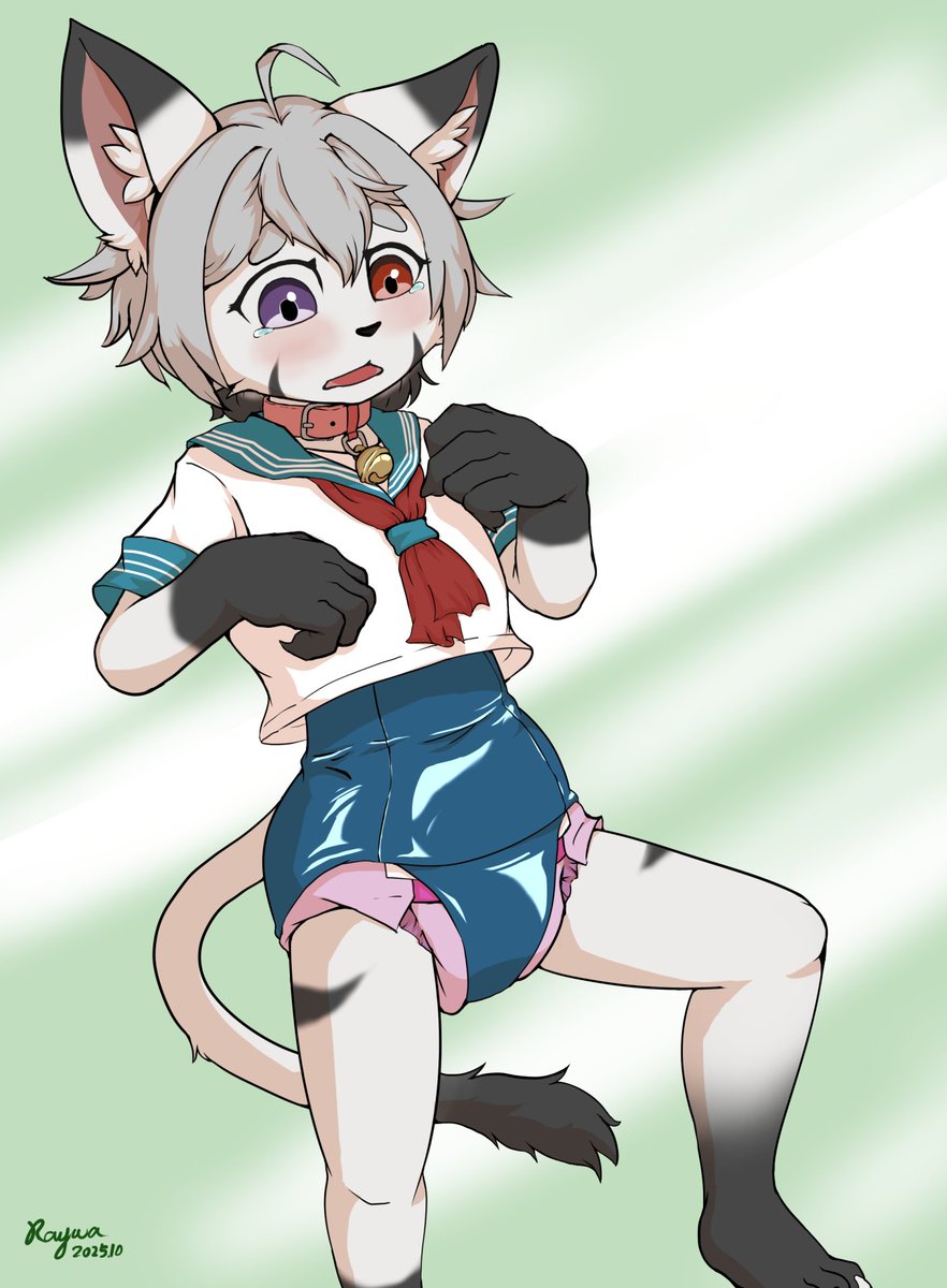 畫某貓貓
項圈+水手服+死庫水+尿布
感覺要素過多
而且我畫光影能力低下
總之先試個效果XD