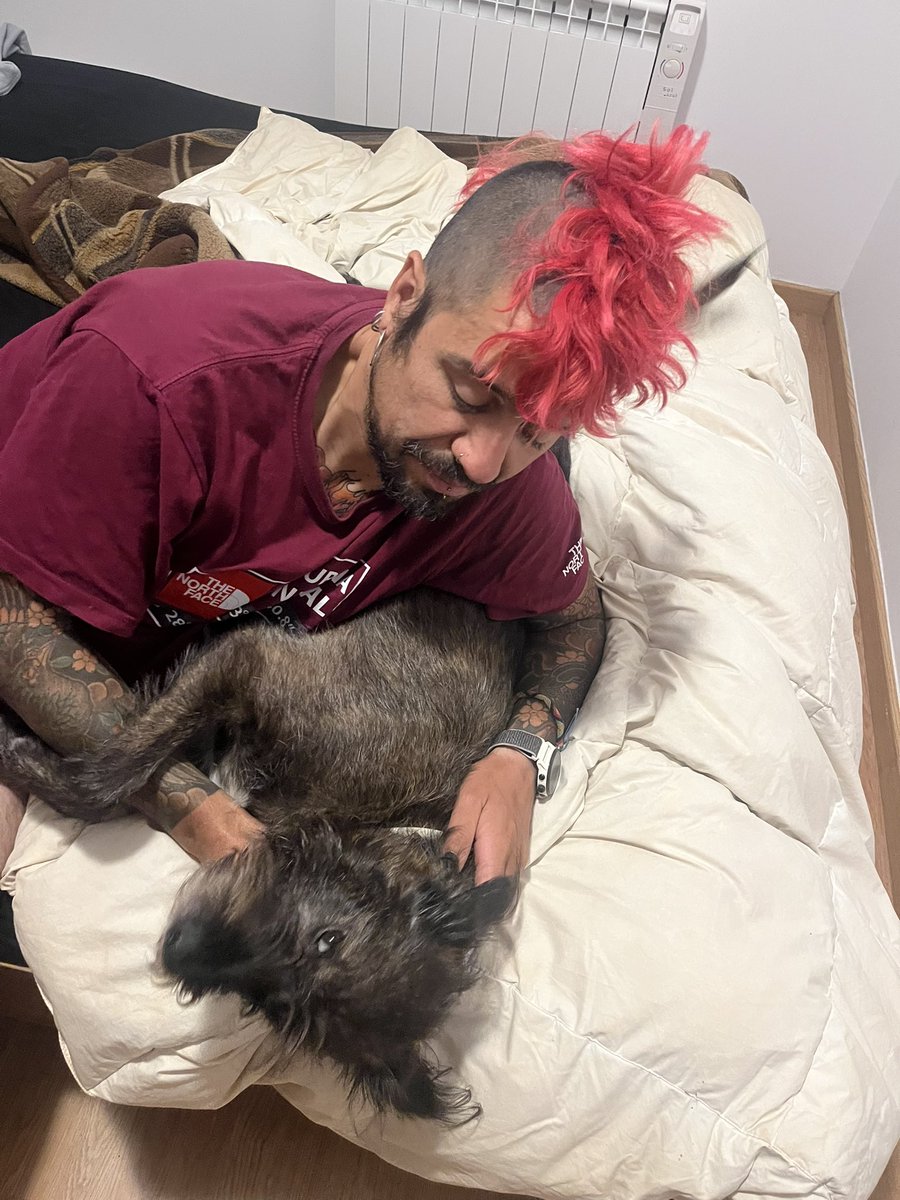 PAULA ⛓ tweet media