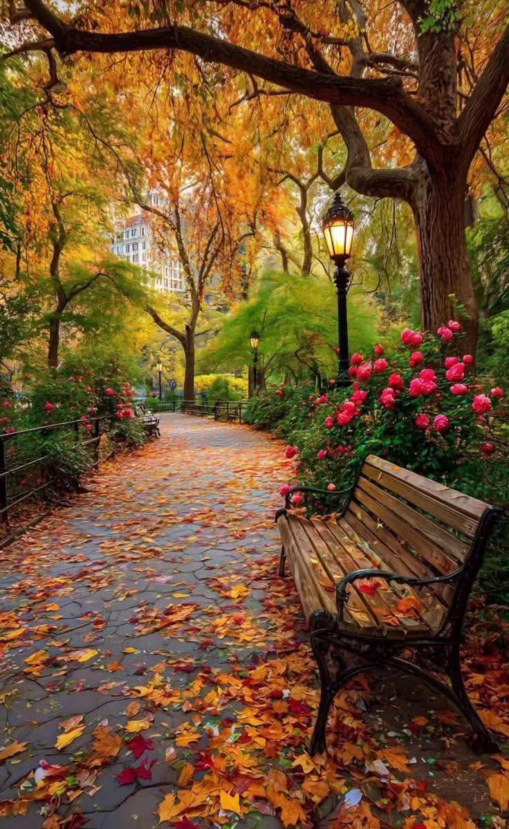 raducu_nicoleta's tweet image. 🍂💫🍂Good evening 🍂💫🍂