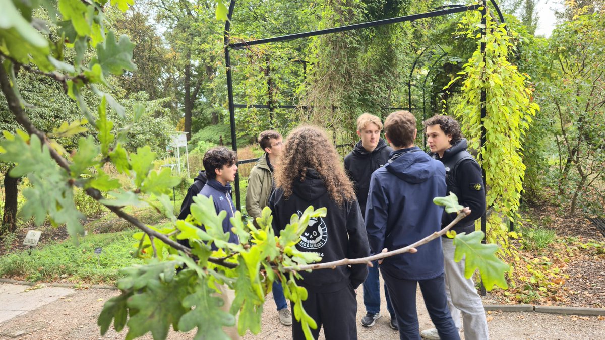 Belgian Red Daemons tweet media