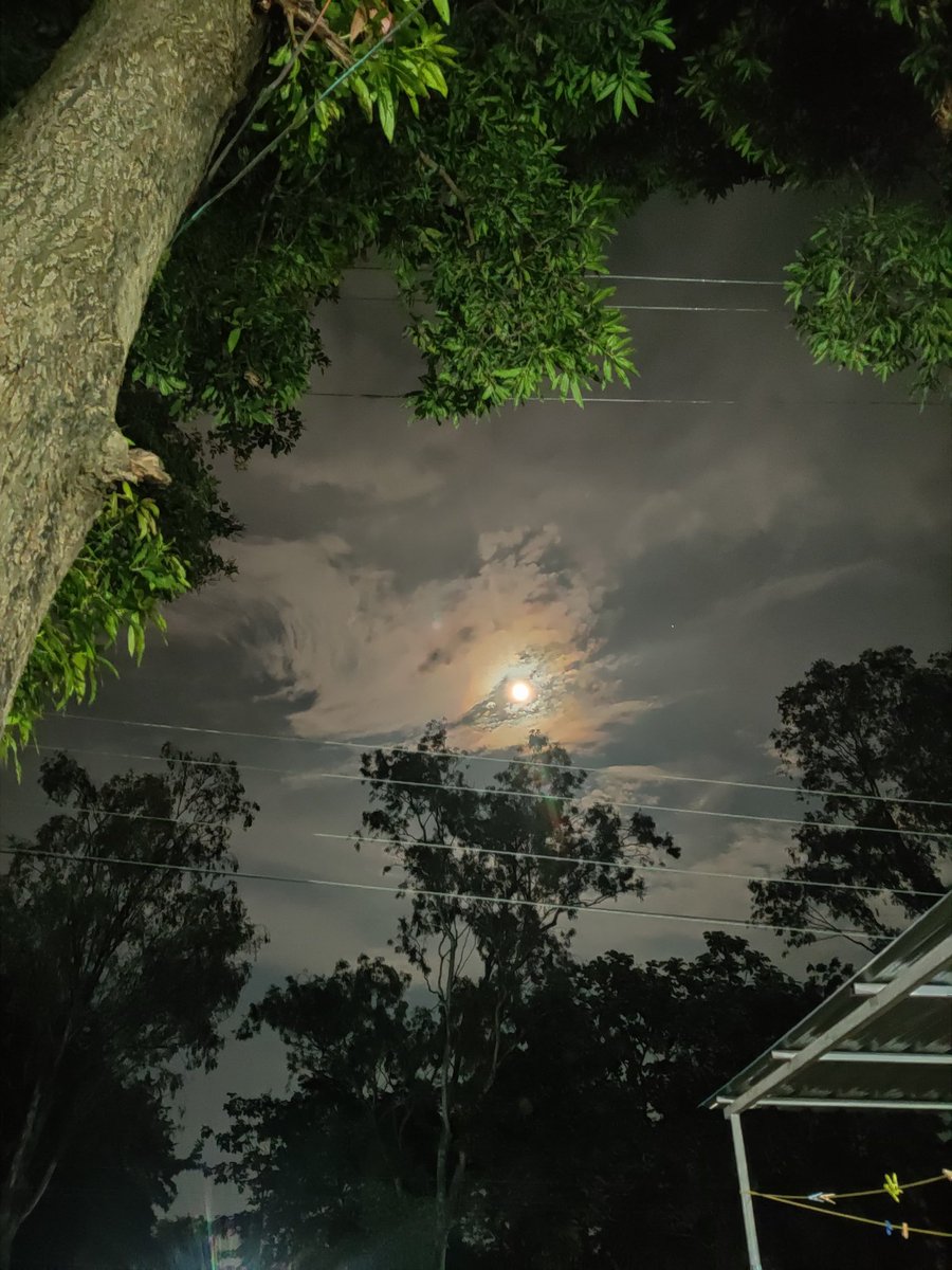 TarunaaSahu08's tweet image. शहर बदले जा सकते हैं पर चांद नहीं.…
- अज्ञात
मित्र की गैलरी से गांव वाला चांद 🌝☁️✨
#sharadpurnima2025 #sharadpoornima
#moon