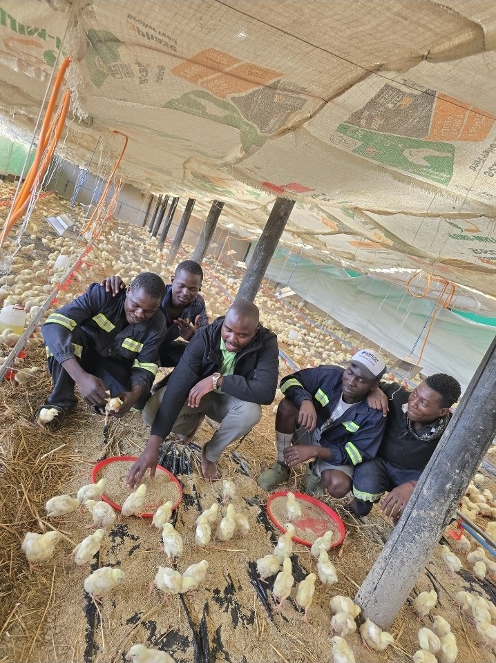 Afrostain Farmtech tweet media