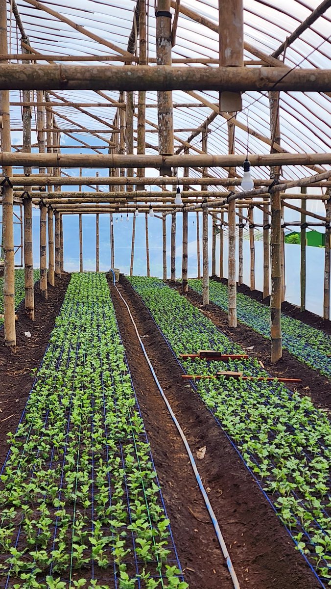 Hendi_Antonius's tweet image. Lampunya pakai #meval 

Belinya disini

s.shopee.co.id/4LAXsHafCA