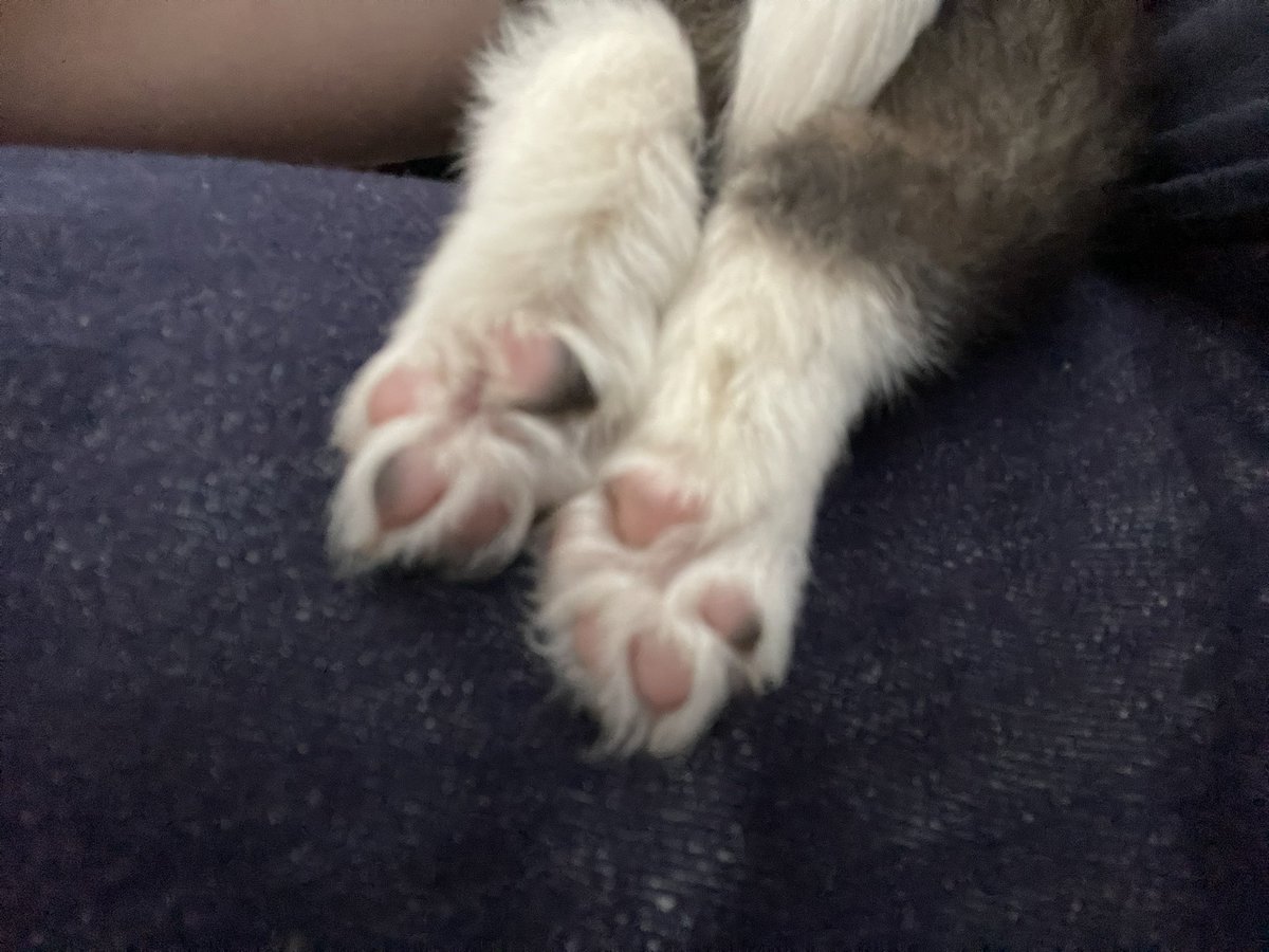 合肥情侣 tweet media