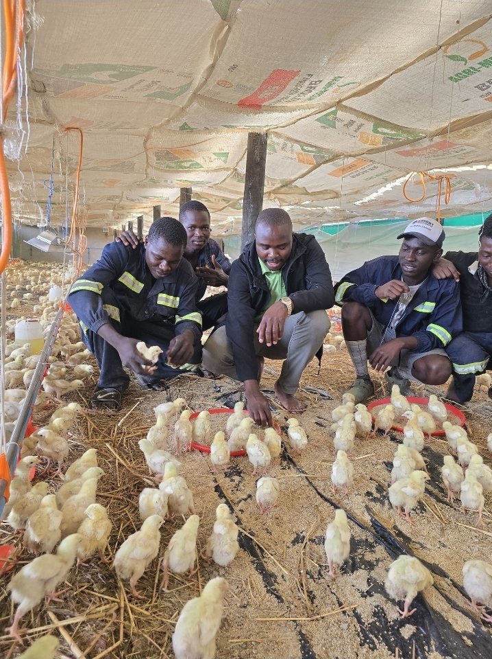 Afrostain Farmtech tweet media