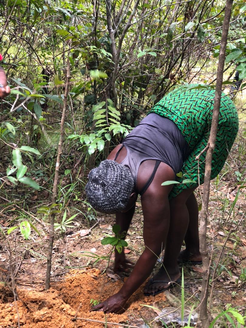 SLEM_SL's tweet photo. This weekend, we kicked off our Landscape Restoration Work in Bafawahun, one of four communities working with us to restore over 10 hectares of degraded forest land.
Together, we’ll grow 10,000 trees on degraded forest lands. Thanks to @CIFOR_ICRAF and @GlobalLF for the funds. https://t.co/CtyltRoyJY
