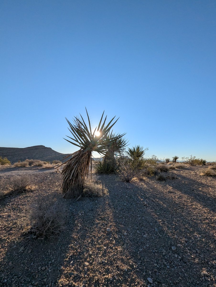 LasVegasLocally's tweet photo. It's a chilly 55° in Red Rock and we miss summer. https://t.co/s3QVrl4ZzD