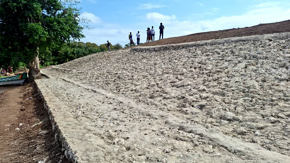 FAO in Somalia tweet media