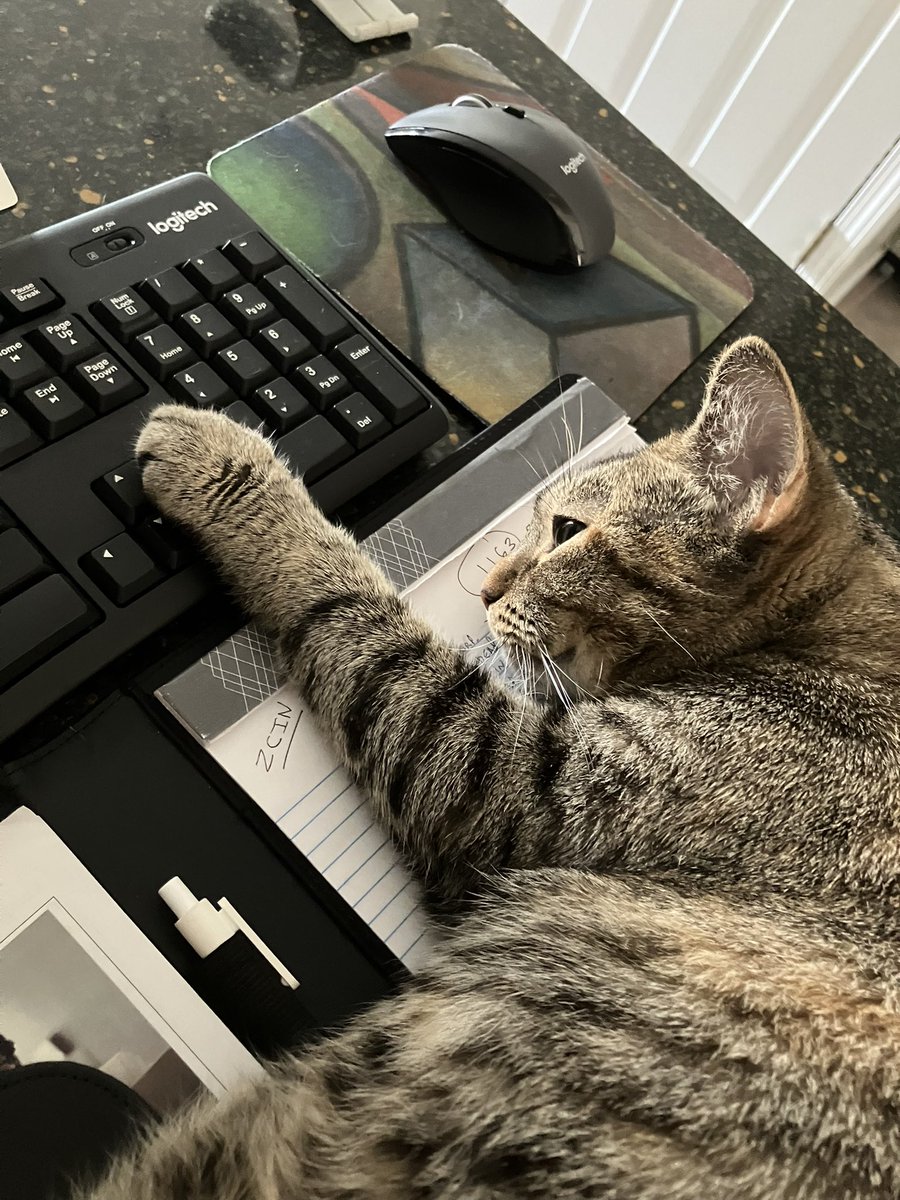 I have a slacker on my team #GenX