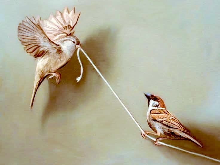 يسكنُ الرُوح من كان لنا في 
الشدائد رُوحاً ورِفقاً ولينَاً..