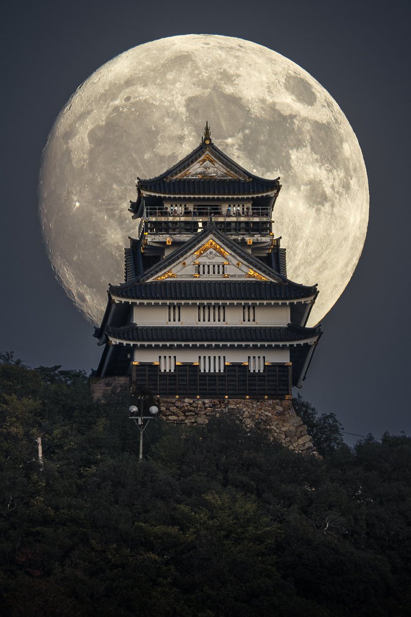 .<a href="/multiplifi/">Multipli.fi</a> automates these complex hedging and trading activities through smart contracts, making these strategies accessible to the average user. Users simply deposit their assets and earn the resulting yield.