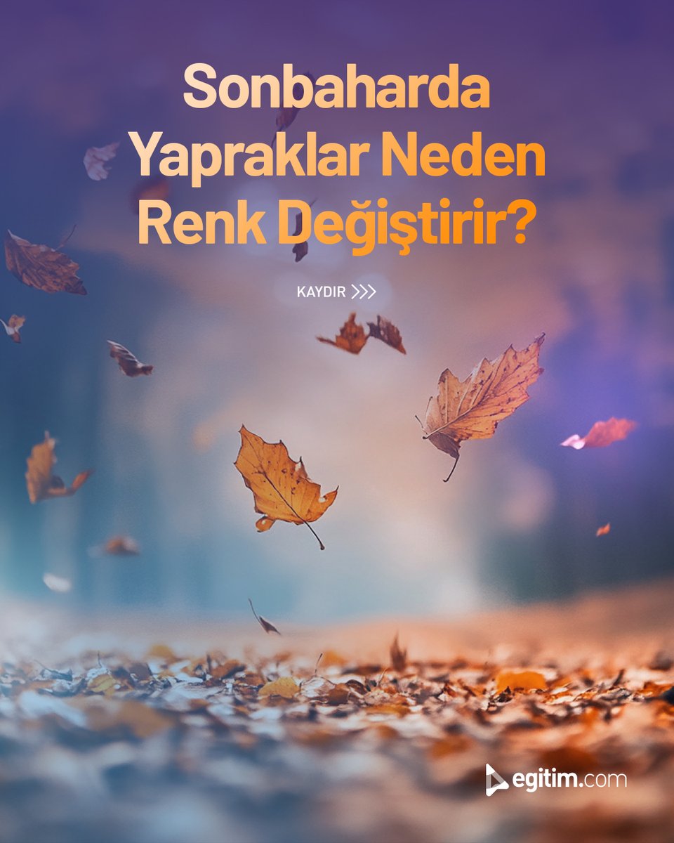 egitim_com's tweet image. Yapraklar yeşilden sarıya, kırmızıya ve turuncuya dönerken…

Doğa, sonbaharda bize renkli bir veda sunuyor! 🍂✨

#Egitimcom #Sonbahar #Yapraklar #Doğa #RenkDeğişimi
