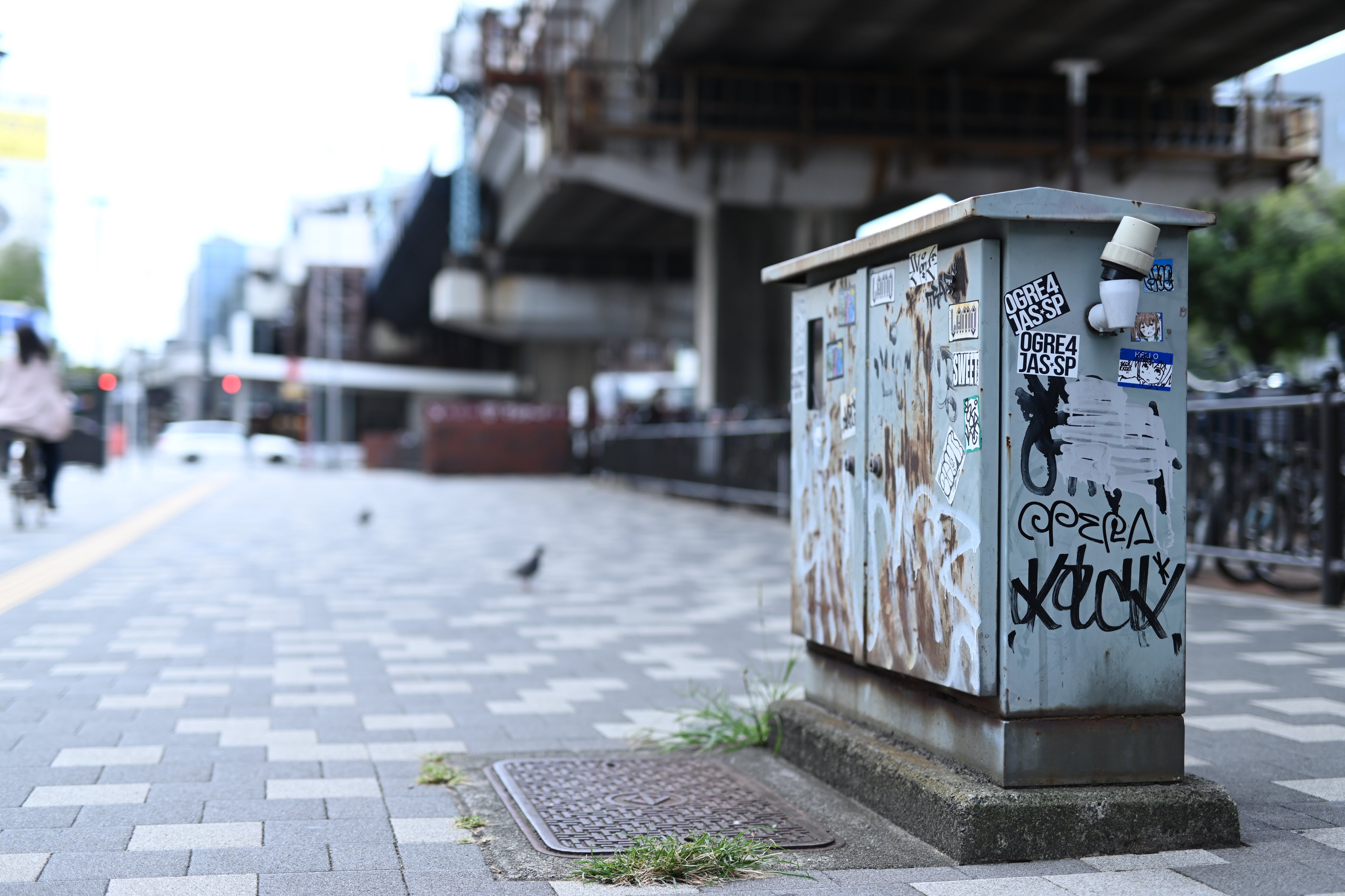 リアルイチローページ♡ ミントモール / MINT 池袋店 / 2024 TOPPS NPB CHROME ベース