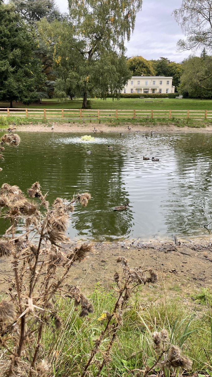 Natural England Norfolk and Suffolk (@nenorfolksufflk) on Twitter photo We had a lovely team day <a href="/BCountryPark/">Brandon Country Park</a> ποΈ 
We learnt more about #air quality issues affecting the Brecksπ² 
And even with fighter jets serenading us from above, we still managed to spot a fly agaric, violet ground beetle & some tell-tale signs of long-eared #bats π¦ We had a lovely team day <a href="/BCountryPark/">Brandon Country Park</a> ποΈ 
We learnt more about #air quality issues affecting the Brecksπ² 
And even with fighter jets serenading us from above, we still managed to spot a fly agaric, violet ground beetle & some tell-tale signs of long-eared #bats π¦