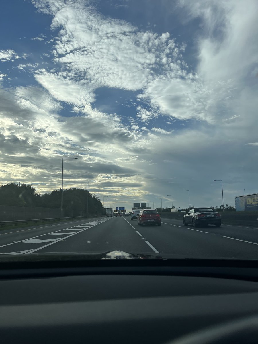 Can you find the 🐊