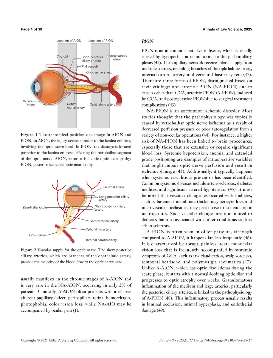 The Bhattacharya Lab@BascomPalmerEye tweet media