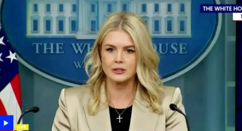 She is too fucking much. Comes out reading from a script that makes no sense and if you ask her about it, she insults you? Do you know who she's married to?
Trump's saggy old balls friend. That's how she got her job and she's treating people this way? Please.