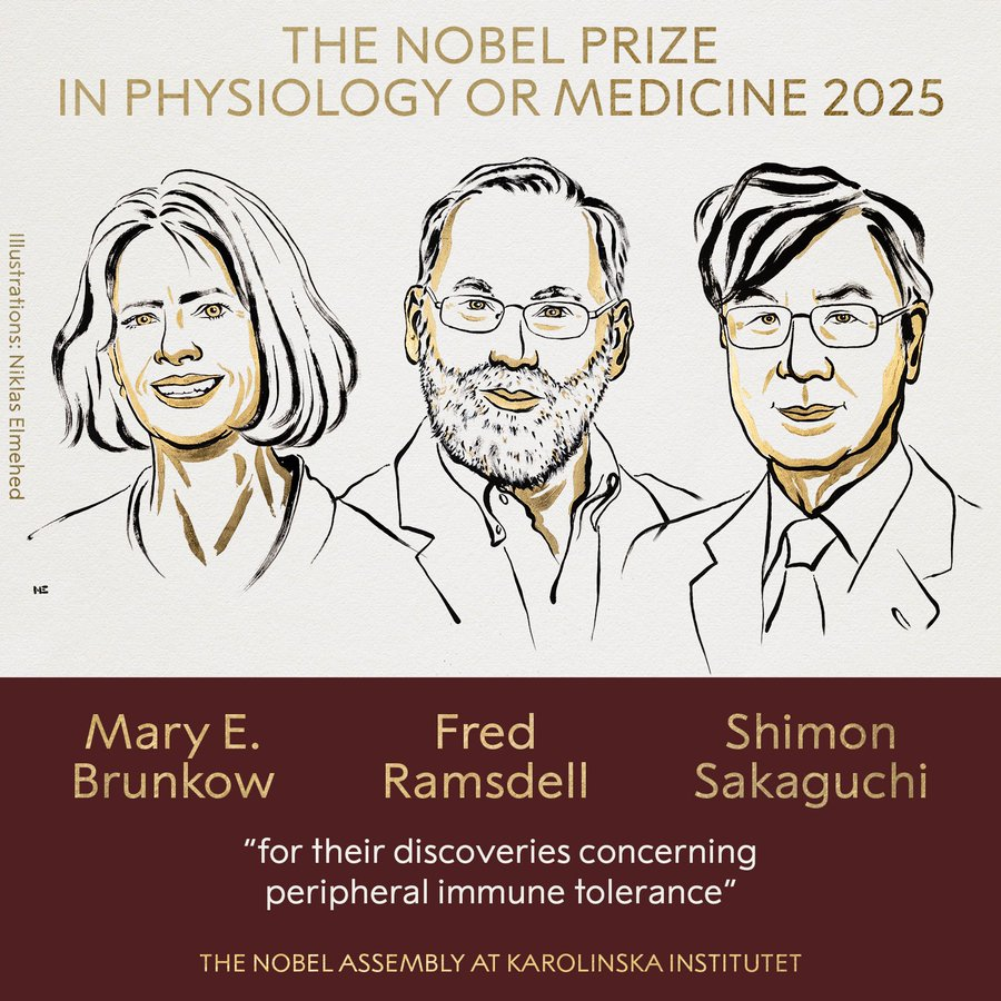 drkaanyl's tweet photo. 2025 Nobel Tıp Ödülü - Detaylı Bilgisel : 🧵

📌 Kimlere Verildi?

Mary E. Brunkow (ABD)

Fred J. Ramsdell (ABD)

Shimon Sakaguchi (Japonya)

Bu üç bilim insanı, Nobel Ödülü’nü eşit payla aldı.

Peki ne için bu ödüle layık görüldürler, açıklıyorum: 👇 https://t.co/6RwEUa05gv