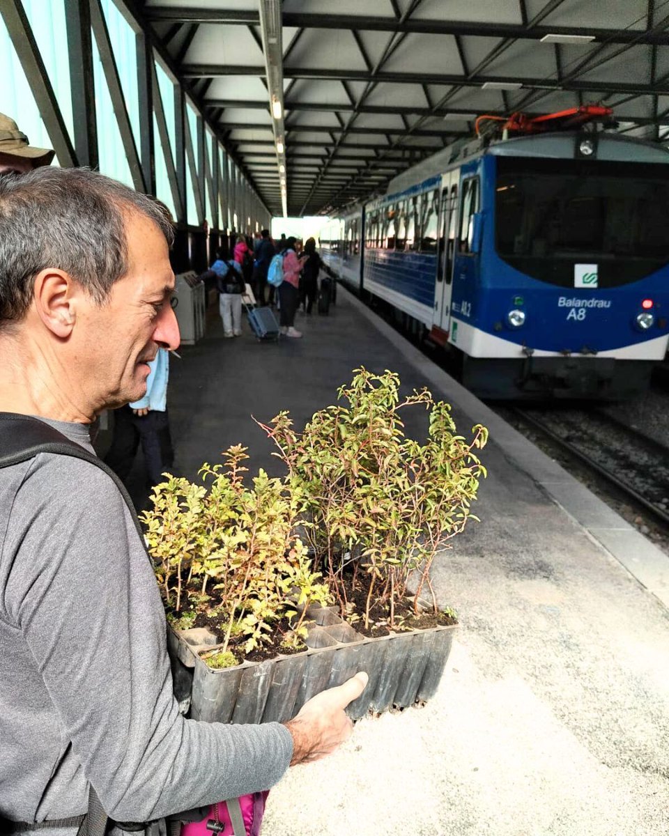 Projecte Boscos de Muntanya tweet media