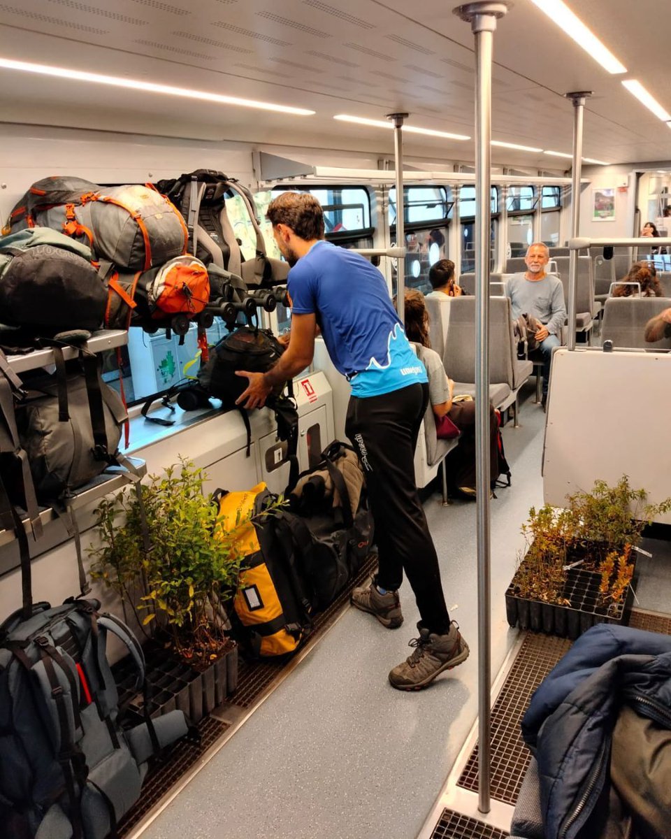 Projecte Boscos de Muntanya tweet media