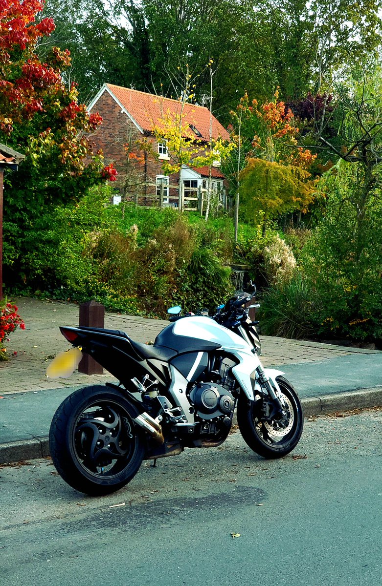 Jamie | PlebCentral tweet media