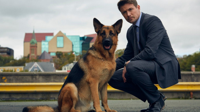 Has #HudsonandRex gone to the dogs after replacing two-legged costar #JohnReardon? No insider info on the Season 8 switch, but here is my take on how lead changes impact series: tinyurl.com/464shtz9