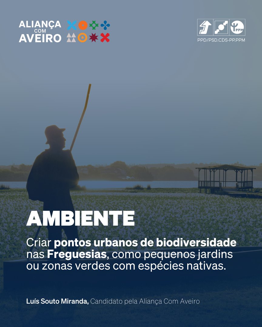 maisaveiro's tweet photo. Aveiro é cultura, ambiente, turismo e bem-estar é futuro com identidade. 

📲 Consulta o programa aqui: https://t.co/xy8GuLOXOg

💙✌️🧡 Pela felicidade dos Aveirenses.
🤝 Com as Pessoas. Por Mais Aveiro. https://t.co/1MIM9zJnVy