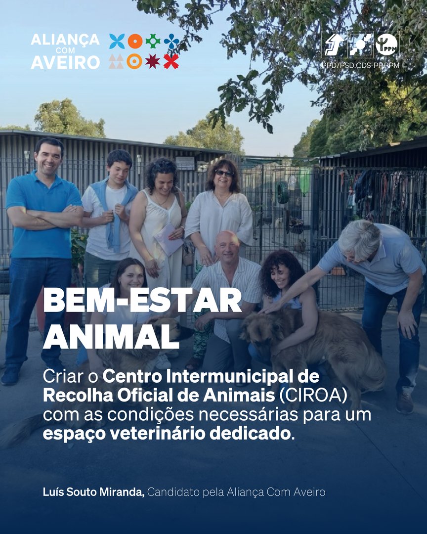 maisaveiro's tweet photo. Aveiro é cultura, ambiente, turismo e bem-estar é futuro com identidade. 

📲 Consulta o programa aqui: https://t.co/xy8GuLOXOg

💙✌️🧡 Pela felicidade dos Aveirenses.
🤝 Com as Pessoas. Por Mais Aveiro. https://t.co/1MIM9zJnVy