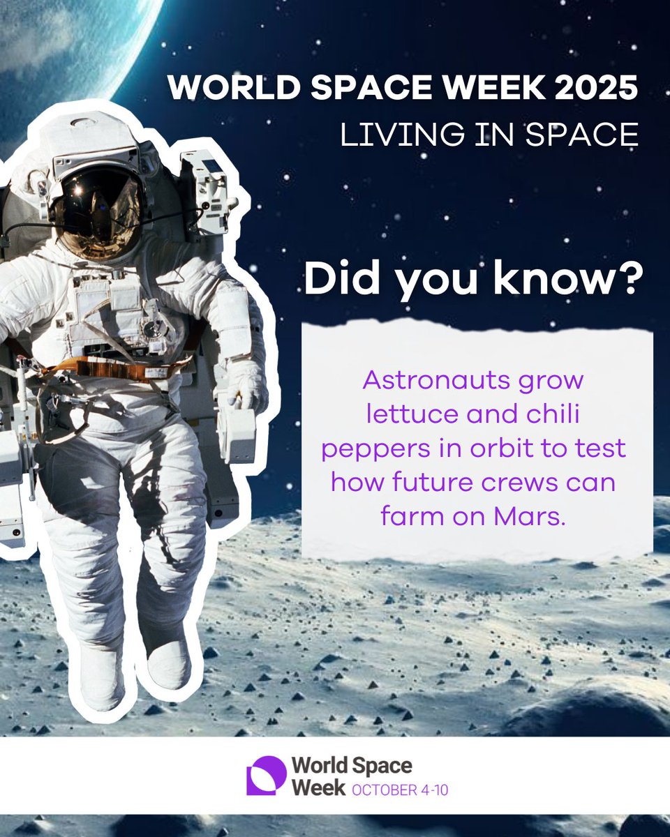 UNinIndia's tweet image. ‘Living in Space’, the theme for @WorldSpaceWeek  2025, explores humanity’s journey toward making #space a habitat, emphasizing the innovative technologies, challenges &amp;amp; collaborative efforts that make this vision a reality.

🔍 Worldspaceweek.org

#WSW2025 #WorldSpaceWeek