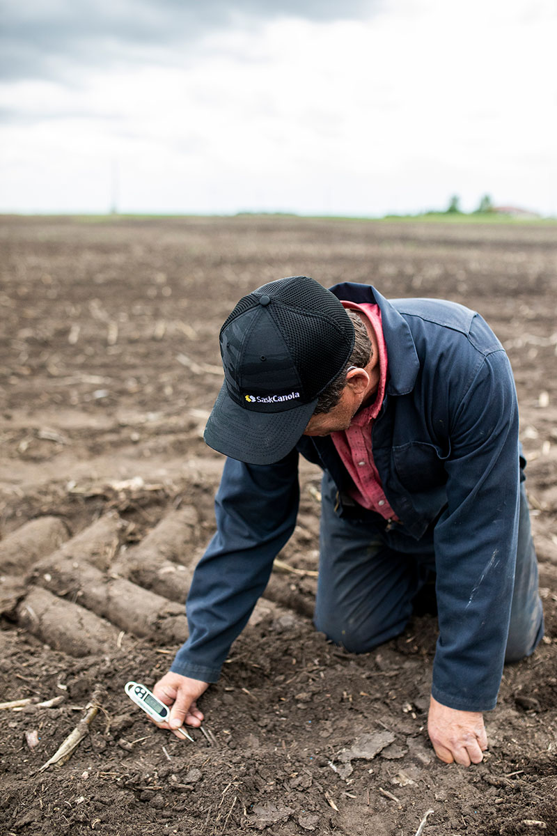 SaskOilseeds tweet media