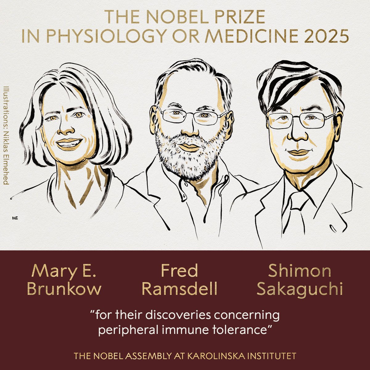 The 2025 Nobel Prize in Physiology or Medicine has been awarded to Mary E. Brunkow, Fred Ramsdell, and Shimon Sakaguchi for their discoveries on peripheral immune tolerance. 

Sakaguchi identified regulatory T cells in 1995, a crucial cell type that prevents autoimmune diseases.