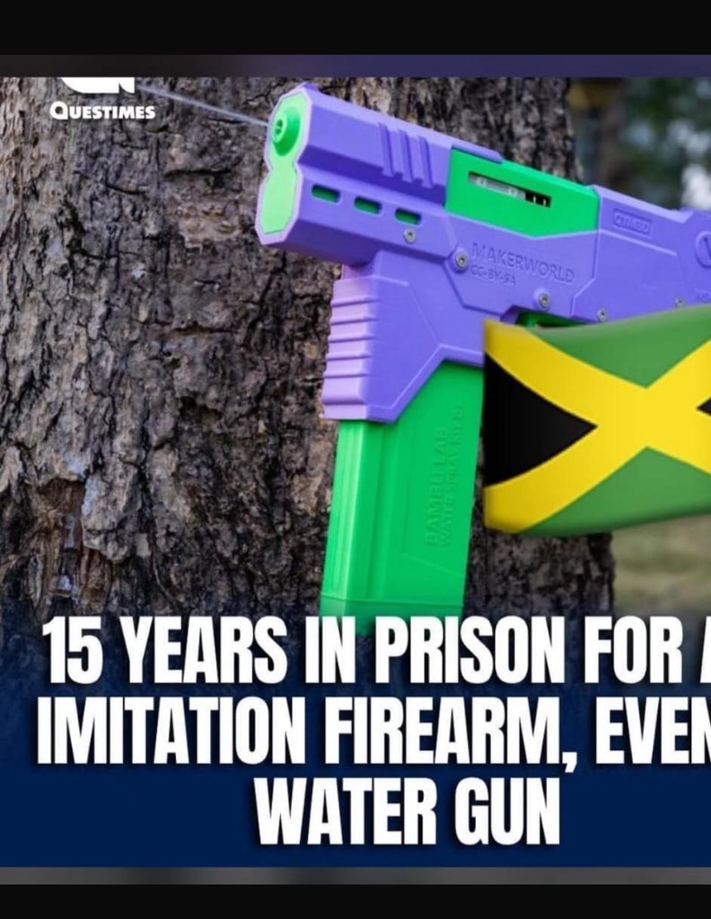 This is the dunce incompetent baboon draconian gov that  forced its way back into office we have running the cntry. Bt be prepared  for what is to come . At the end of the day nt one of their kid will ever see prison 4 aving a toy gun casue of who their parents are . Be prepared