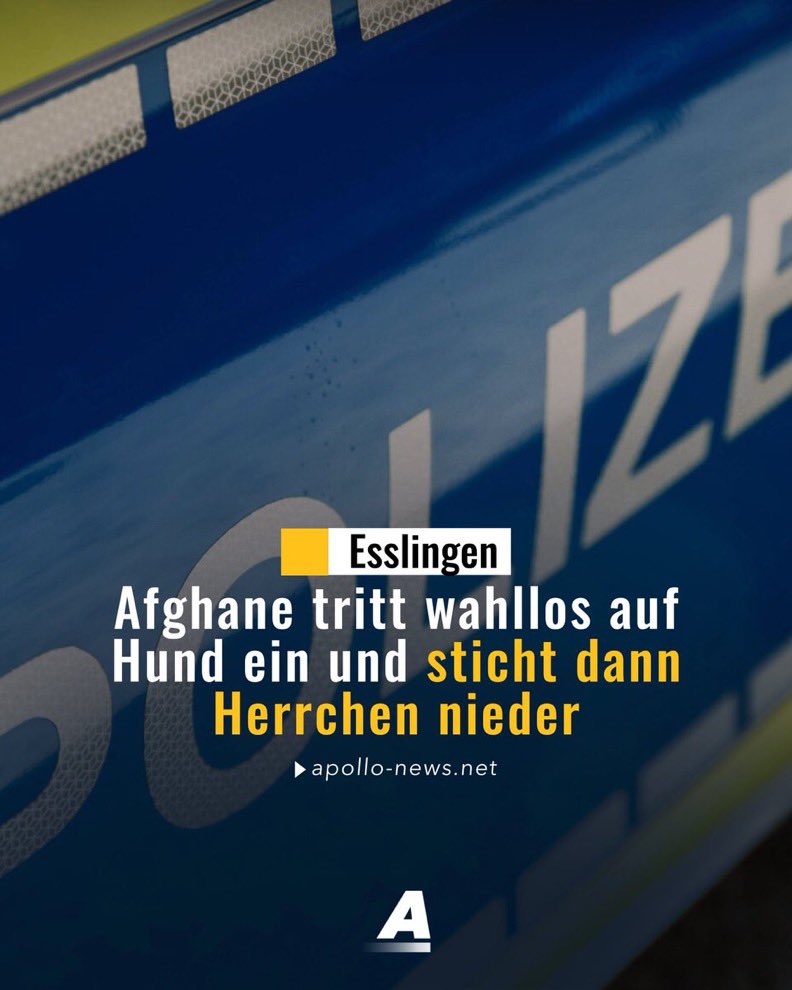 TimKoffiziell's tweet image. Jeglicher Kommentar diesbezüglich würde im strafrechtlichen Rahmen enden.

#Afghane #Messer